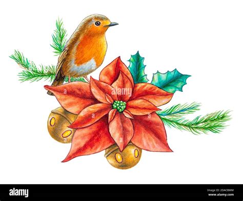 Christmas robin drawing hi-res stock photography and images - Alamy