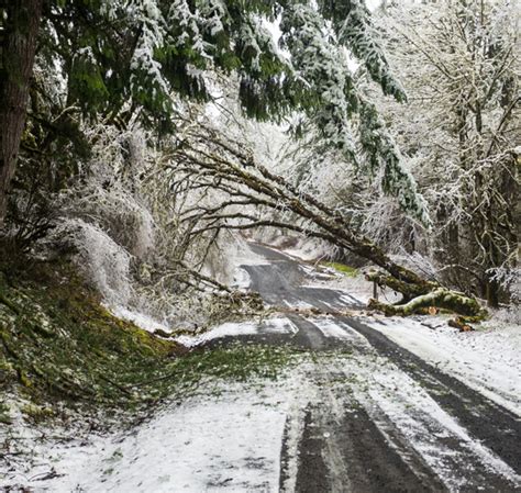 Downed Trees and Power Outages Expected with Oregon Ice Storm - We Have ...