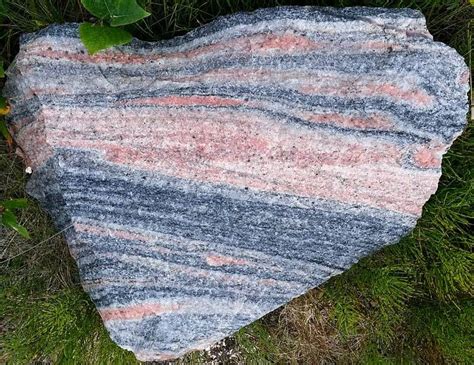 Gneiss - Metamorphic rocks | Gneiss, Metamorphic rocks, Geology rocks mineral