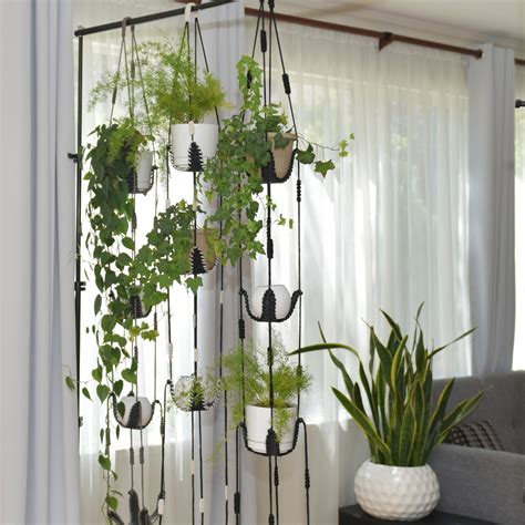 easy hanging plants 6980997483 #Hangingplantsdiyoutdoor | Pflanzen zimmer, Raumteiler pflanzen ...