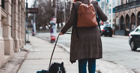 Woman in Brown Coat Walking With Black Dog on Sidewalk · Free Stock Photo