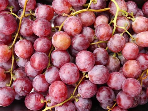 Grape Season: The Different Types of Grapes and How to Buy Them ...