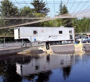 The Tulalip Tribes dedicate a new fish hatchery on April 2, 1983. - HistoryLink.org