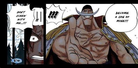 23+ Why Is Whitebeard So Tall - YolandeIndrid