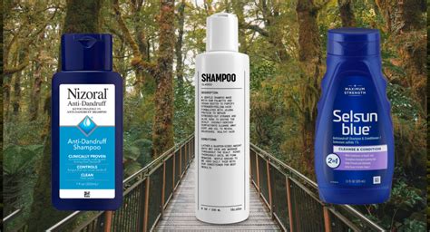 The Best Shampoos for Seborrheic Dermatitis - Orlando Magazine