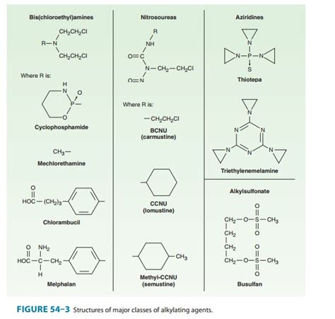 Alkylating Agents - Pharmacology of Cancer Chemotherapeutic Drugs