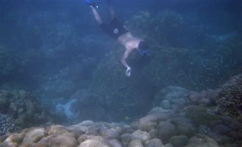 Surin Islands Snorkeling Tours with Easy Day Khao Lak