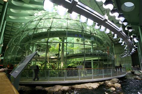 California Academy of Sciences in San Francisco - Discover One of the ...