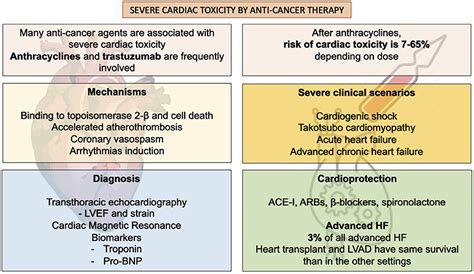 Frontiers | Severe Cardiac Toxicity Induced by Cancer Therapies ...