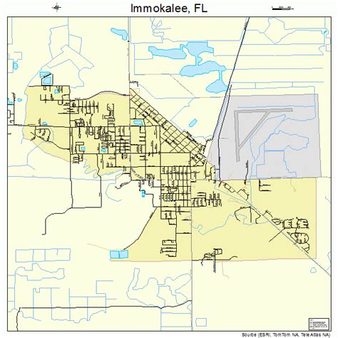 Immokalee Florida Street Map 1233250