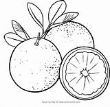 Oranges Coloring Picture sketch template