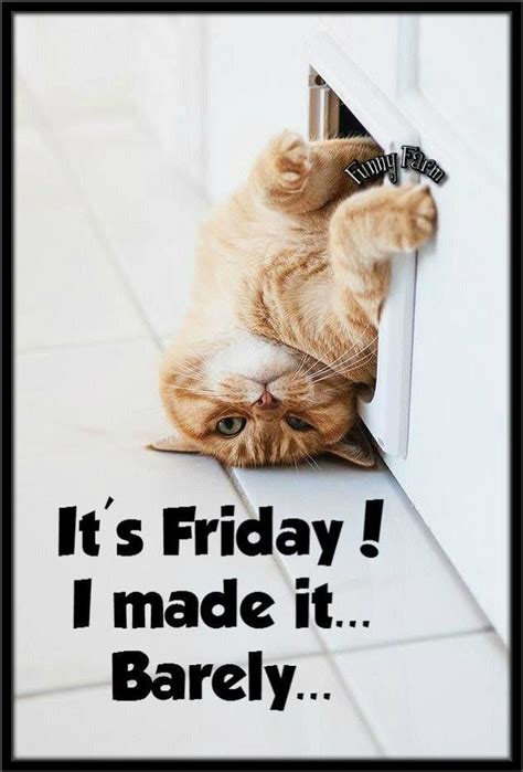 97 best images about Happy Friday on Pinterest