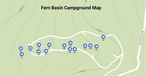 Fern Basin Campground - Idyllwild | Outdoor SoCal