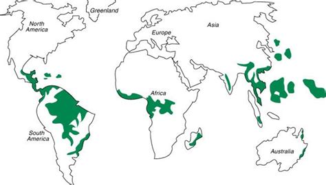 Tropical rainforests are found near the equator. They can be found in northern South America ...