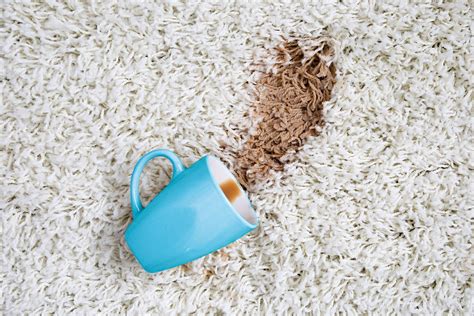 How to Get Coffee Stains Out of Carpet — Coffee Spill on Carpet