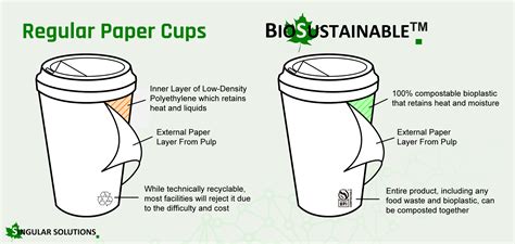 Compostable Hot Drink Paper Cups Coated with Bioplastic - Singular Solutions inc.