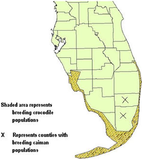 American Crocodile Habitat