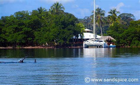 Bocas Del Toro Snorkeling Tours, Panama 🤿🐙🐬🐠 Worth the cost?