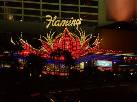 Flamingo Las Vegas | Flamingo las vegas, Las vegas, Vegas