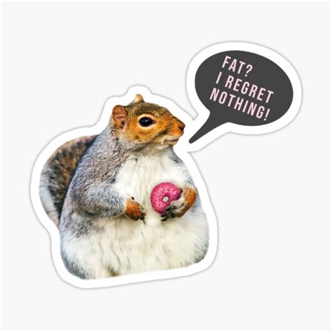 "Fat Squirrel Meme" Sticker for Sale by SourDigitals | Redbubble