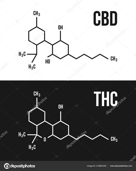 CBD and THC molecular structure illustrations. Cannabinol and ...