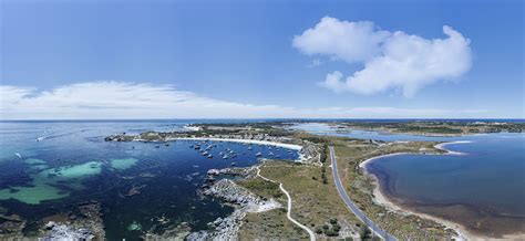 Rottnest Island | Where To See Quokkas On Rottnest Island