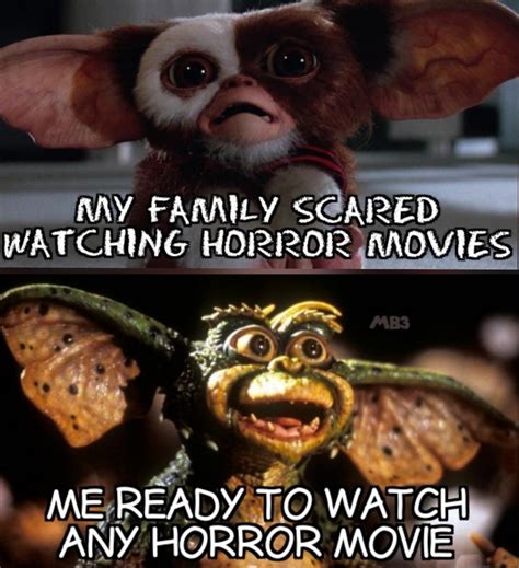 The best Gremlins memes :) Memedroid