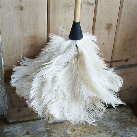 White Ostrich Feather Duster By brush64