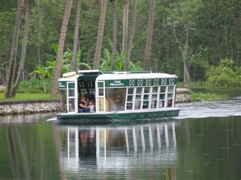 Silver Springs glass bottom boats in Florida. When Silver Springs was a theme park we had season ...