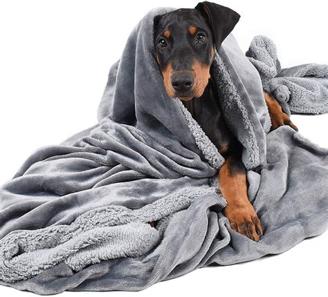 Dog blanket - Amazing Products