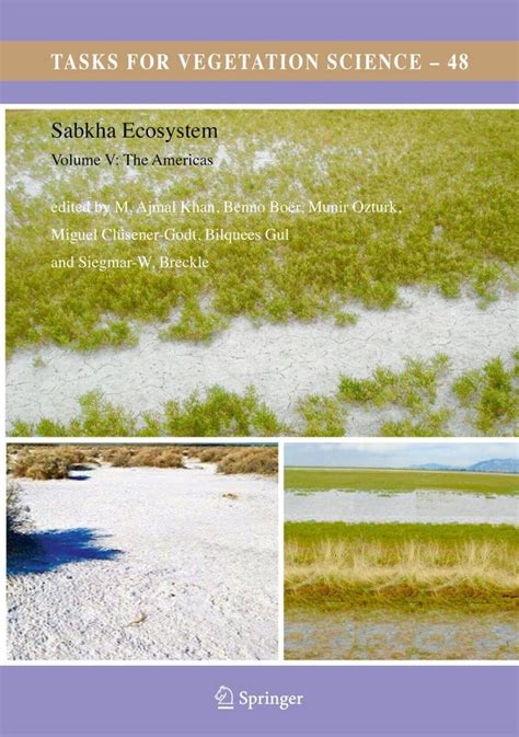 Sabkha Ecosystems, Volume 5: The Americas | NHBS Academic ...