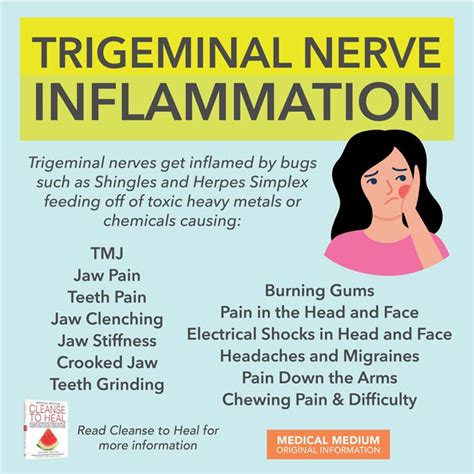 Trigeminal Nerve Inflammation | Hot Sex Picture