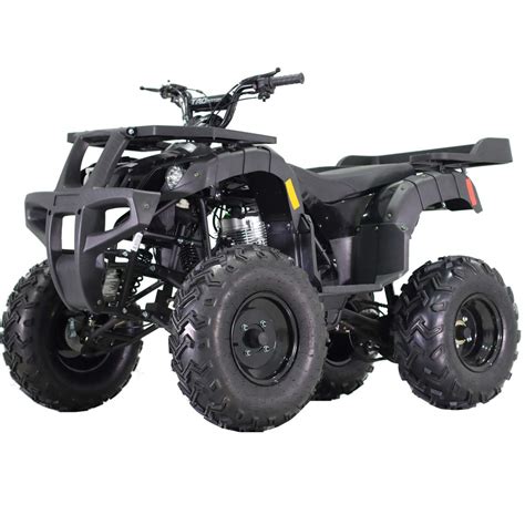 Buy X-PRO Adult ATV Quad Four Wheelers 250 Utility ATV Full Size ATV Quad Adult ATVs,Black ...