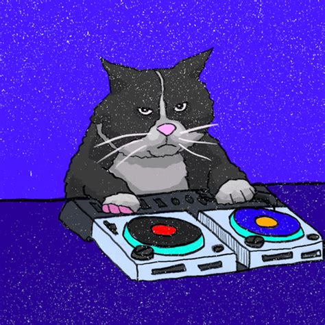 Cat Dj GIFs - Find & Share on GIPHY