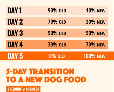 When To Switch From Puppy to Adult Dog Food – Differences & Transition!