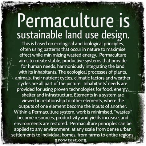 imgur.com | Permaculture definition, Permaculture, Permaculture gardening