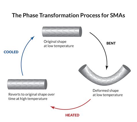 The Elephants of Materials Science: SMAs Never Forget Their Shape ...