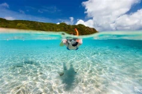 Snorkeling In The Florida Keys Without A Guide