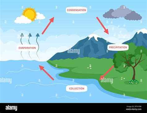 Water Cycle of Evaporation, Condensation, Precipitation to Collection in Earth natural ...