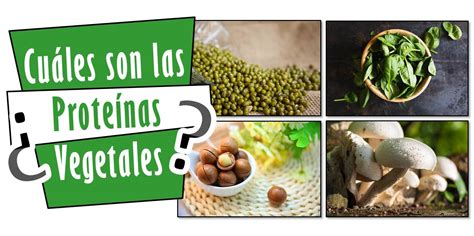 ¿Cuáles son las Proteínas Vegetales? - Lista de Alimentos - Mejor Real que Perfecto