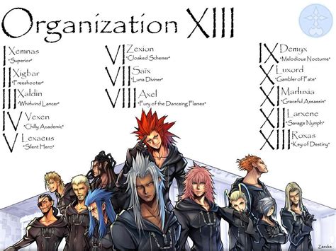 Kingdom Hearts Organization 13 | Kingdom Hearts 2 PS2 Cheats Images ...