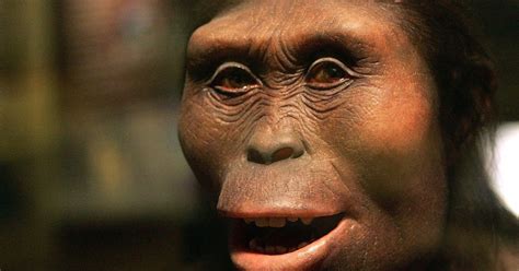 Who is Lucy the Australopithecus? Google Doodle Celebrates 41st ...