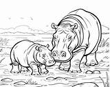 Cute Hippo Coloring Pages sketch template