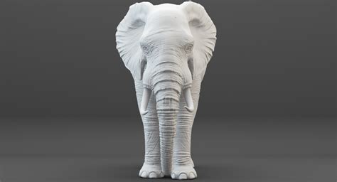 3D rigged elephant model - TurboSquid 1214522