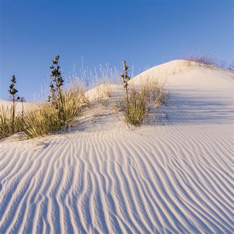 Sand Dune Erosion in a Box Top | Carolina Biological Supply