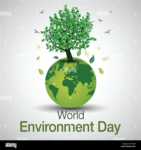 World Environment Day - LaithCorry