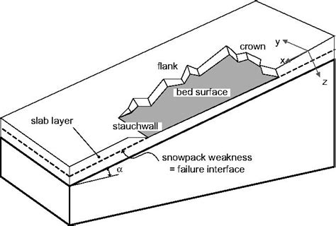 2: Schematic of a slab avalanche release (from Schweizer et al., 2003 ...