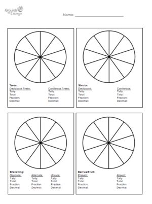 Growing The Next Generation | Programs for teachers | Fractions and ...