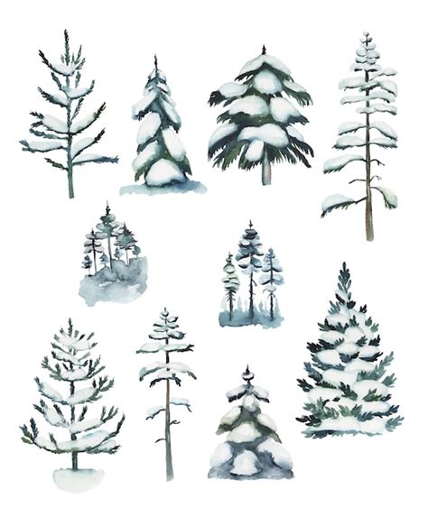 Premium Vector | Collection of watercolor snowy pine trees and firs