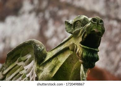 Gargoyle Water Stock Photos and Pictures - 2,067 Images | Shutterstock